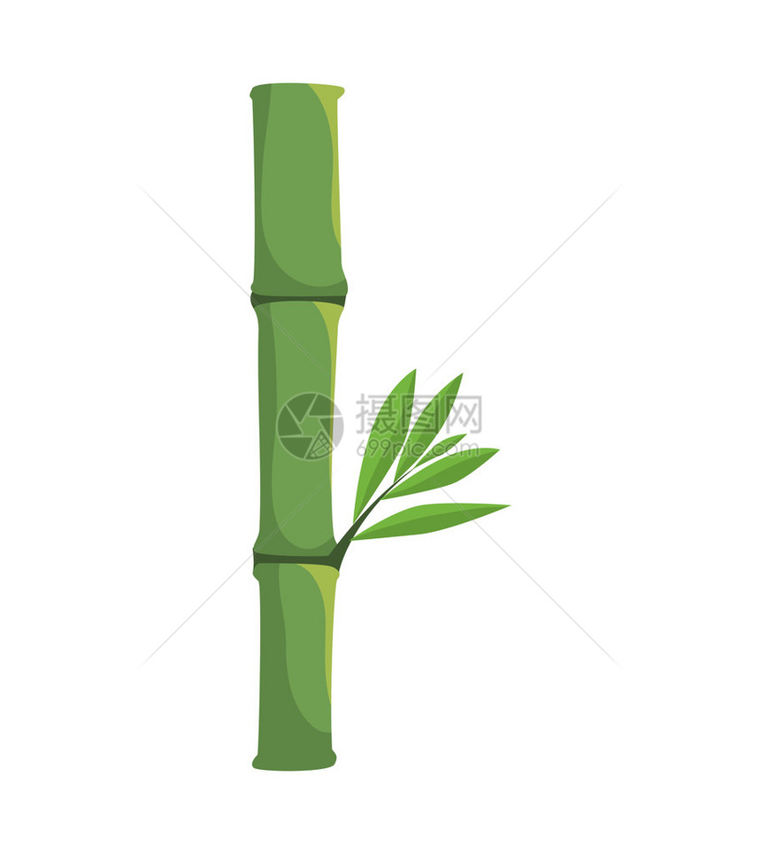 竹植物图标代表的自然和植物概念单形和平面图示Isotedandflapex图片
