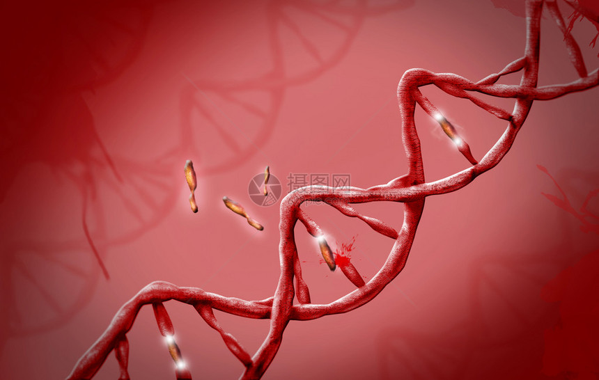 红色背景中的DNA链疾病流行概念图片
