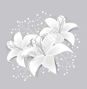 矢量浪漫花卉背景与白百合图片
