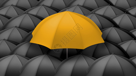 黑伞上的黄伞图片