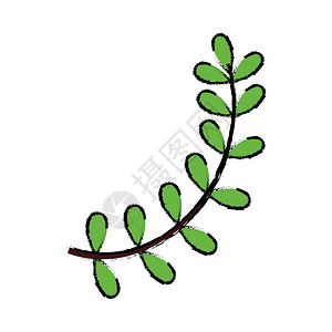 Wreath树叶装饰图标的矢量背景图片
