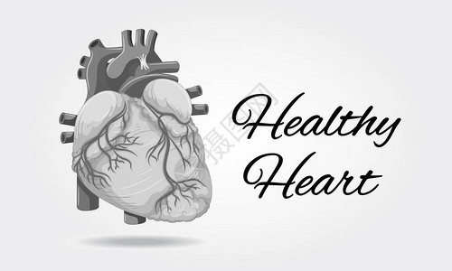 健康的心脏海报与心脏插图的片背景图片