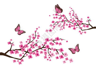 樱花枝与蝴蝶的矢量插图背景图片