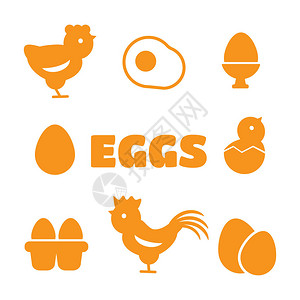 肉禽蛋类鸡蛋图标蛋类食品早餐蛋动物蛋插画