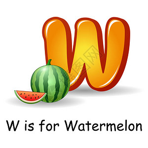 水果字母的矢量图解W代表西瓜图片