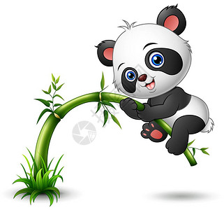 可爱的熊猫宝树爬竹的矢量图解图片