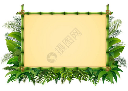 热带花卉设计背景和绿竹框架矢量插图背景图片