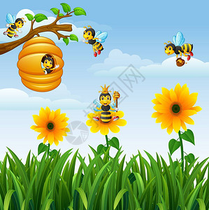 鸟蜜蜂在花园的蜂巢周围飞图片