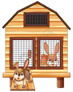 木舍插图中的兔子图片