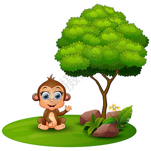 白底驱蚊草卡通猴子坐在一棵树下白色背景的白底木插画