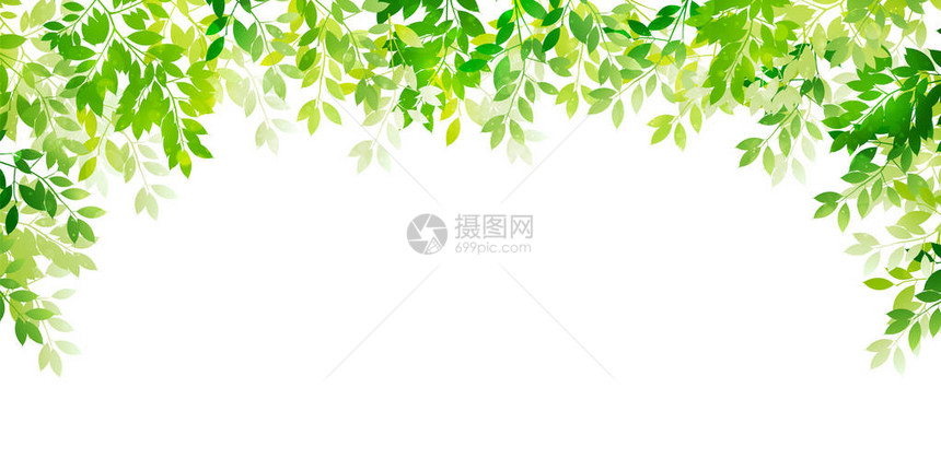 新鲜的绿叶色背景图片