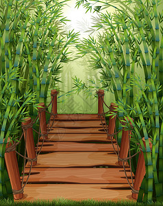 竹林与木桥插图背景图片