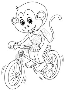 猴子骑自行车插图的绘图动物图片