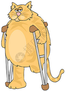 使用拐杖的橙色三足猫的插图图片