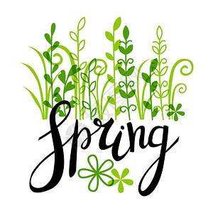 绿色植物春季字母的矢量插图以绿图片