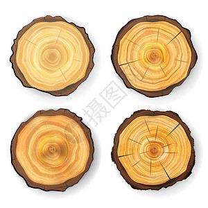 CrosssectionWreeWoodenStump矢量图片