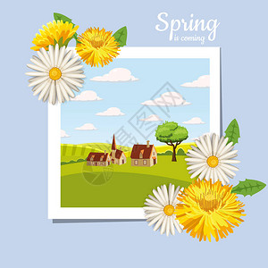 新鲜的春天背景与草蒲公英和雏菊背景图片