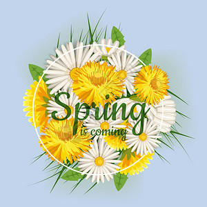 新鲜的春天背景与草蒲公英和雏菊背景图片
