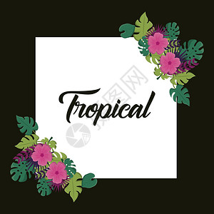 热带花卉和叶子框架色彩缤纷的设计矢量图图片
