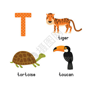 向量中的可爱动物园字母表T字母可爱的卡通动物图片