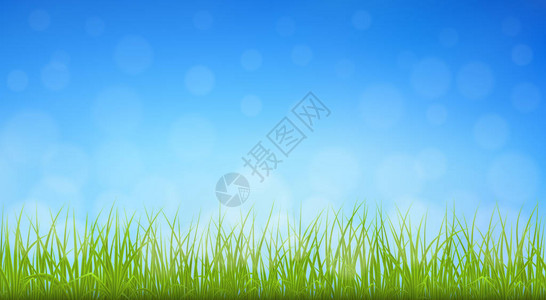 蓝色天空背景的优质绿草矢量背景图片
