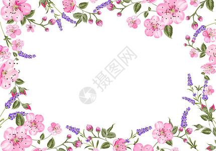 熏衣彩文化节淡紫表面卡有空文本空间的粘贴板和熏衣插画