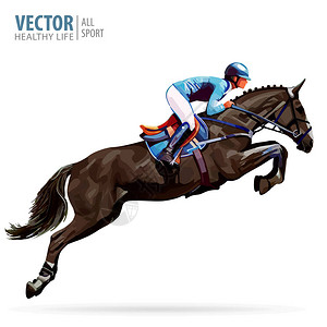 骑马的骑师冠军骑马术运动骑师跳马海报运动背景图片