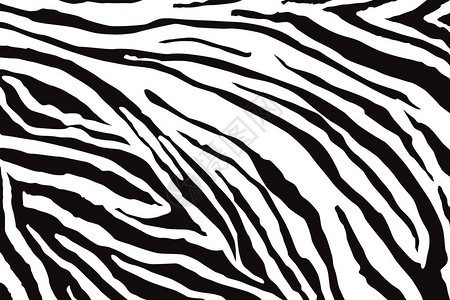 Zebra模式图片