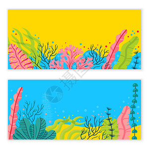 时髦的海底部背景有海藻和文字位置亮光背景图片