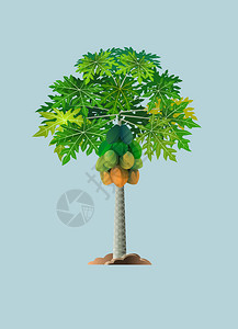 矢量图木瓜树图片