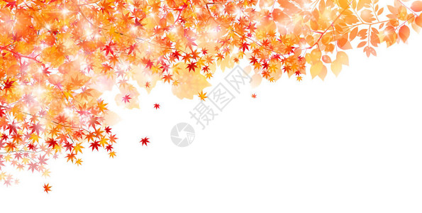 枫叶秋景背图片