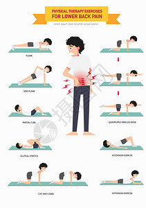 进行物理治疗练习以降低背部疼痛信息图片