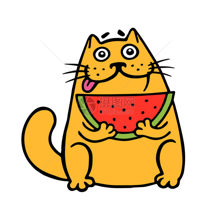 可爱的肥猫吃西瓜有趣的卡通酷角色轮廓手绘数字绘图白色背景图片