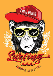 Surfer猴子California海图片