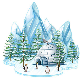企鹅和猫头鹰的冰屋插图图片
