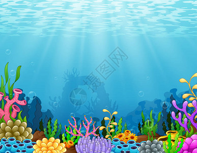 热带珊瑚礁在水下与热带珊瑚礁相伴的景图片