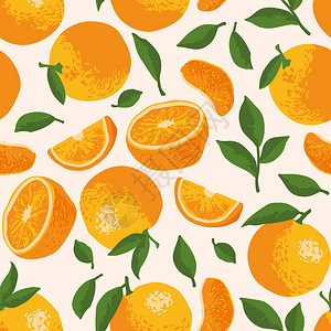 带橙子鲜花和叶子的矢量夏季模式图片