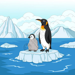 卡顿母企鹅和小企鹅在冰面图片