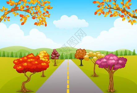秋季公园景观道路和树木图片