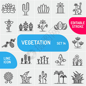 植被线图标大图标集花卉和植物可用于生物学图片