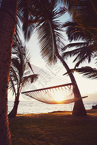 日落时的热带夏威夷吊床图片