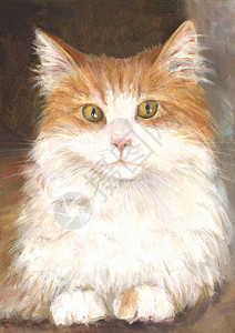 红猫油画可爱的动物图片