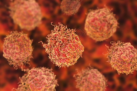 前列腺癌细胞3D插图前列腺图片