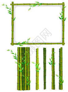 绿色竹框和棍子插图图片