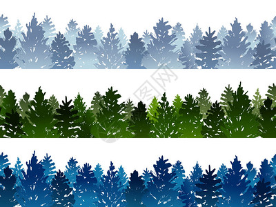 白色背景上蓝色和绿色针叶树的无缝边界集图片