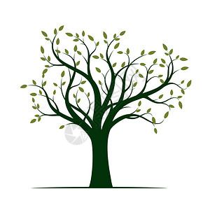 绿树与叶子的形状矢量插图图片