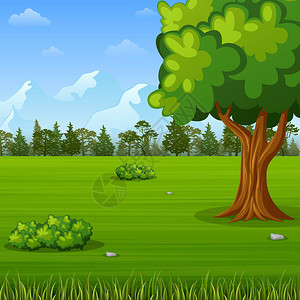 绿色森林景观背景图片