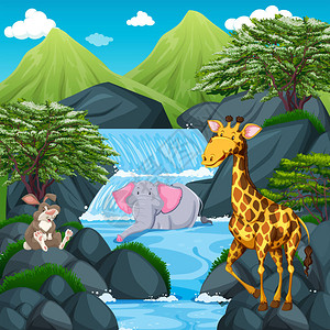 瀑布插图中野生动物的场景图片