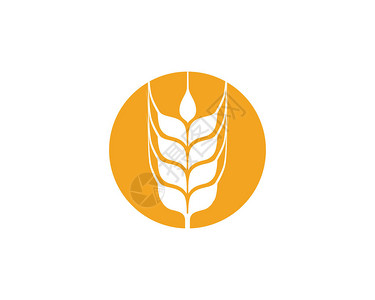 农业小麦模版小麦板矢量图片