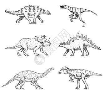 恐龙集图片
